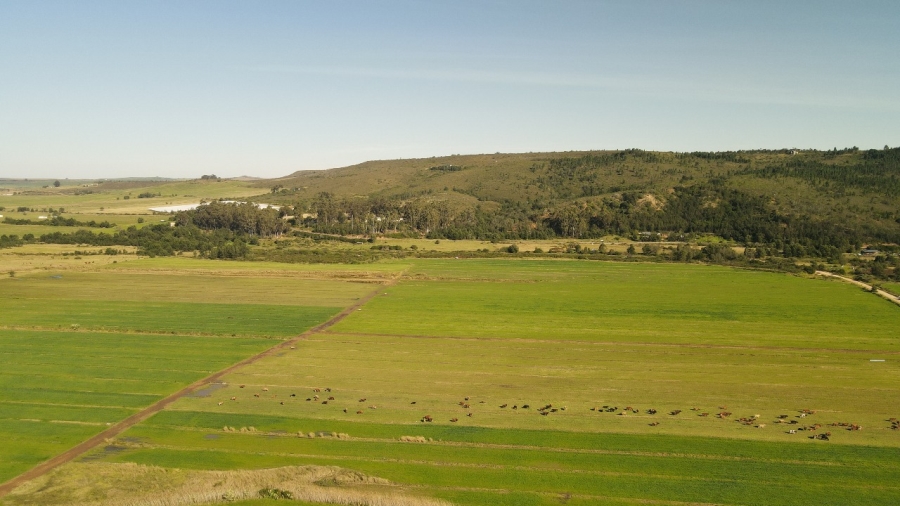 6 Bedroom Property for Sale in Riversdale Rural Western Cape